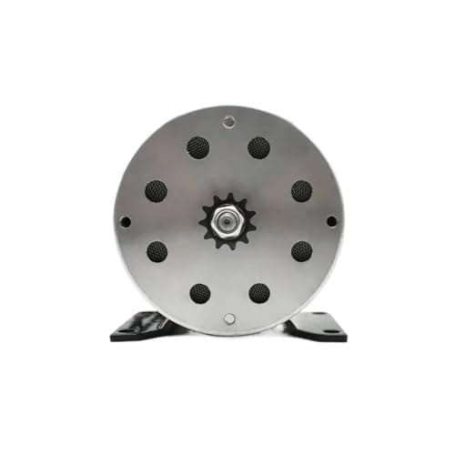 48V 1000W Brushed DC Motor Go-Kart with Chain Drive