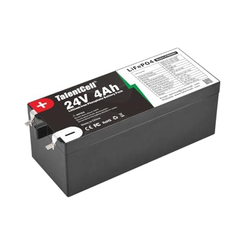 Talentcell 24V 4Ah Deep Cycle Lithium Battery Pack 96Wh