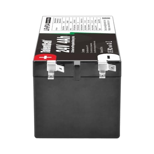 Talentcell 24V 4Ah Deep Cycle Lithium Battery Pack 96Wh