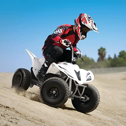 AlveyTech Razor Dirt Quad 24V Battery Pack - Replacement Rechargeable Batteries for ATV