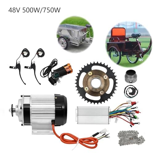 Electric Brushless Geared Motor Kit for E-Tricycle Electric Bicycle (No Battery)