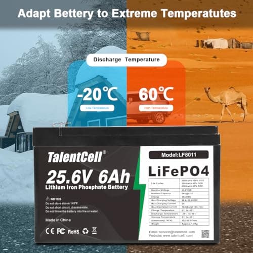 24V 6Ah LiFePO4 Battery Pack LF8011 by Talentcell