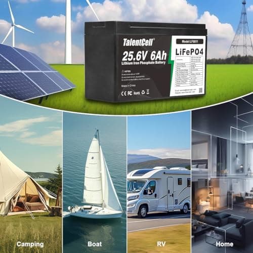 24V 6Ah LiFePO4 Battery Pack LF8011 by Talentcell