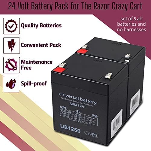 24V 5Ah Battery Pack for Razor Crazy Cart and Drift DLX - Set of 2 Replacement Batteries