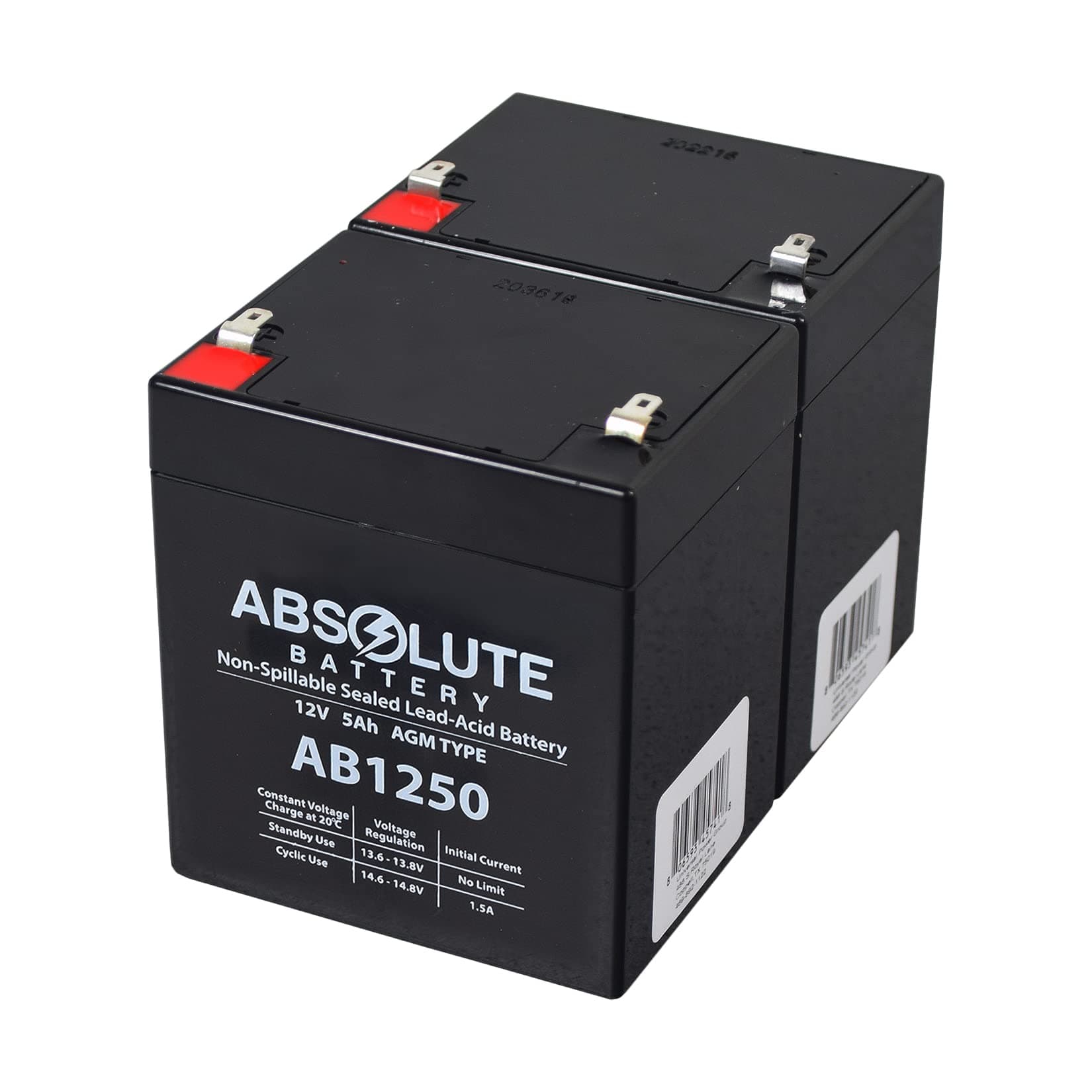 24V 5Ah Battery Pack for Razor Crazy Cart and Drift DLX - Set of 2 Replacement Batteries